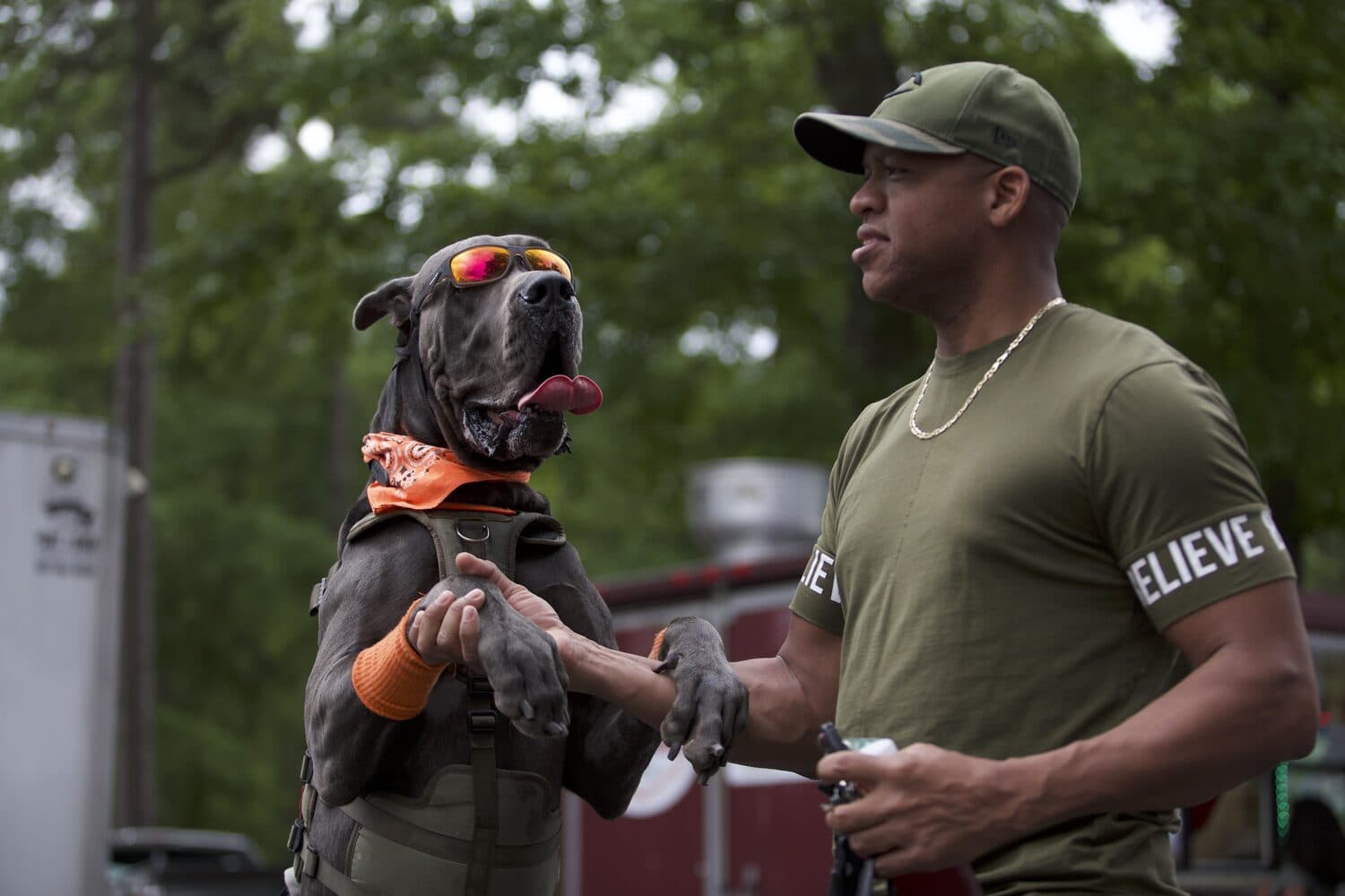 A festival-goer and his dog enjoying the day